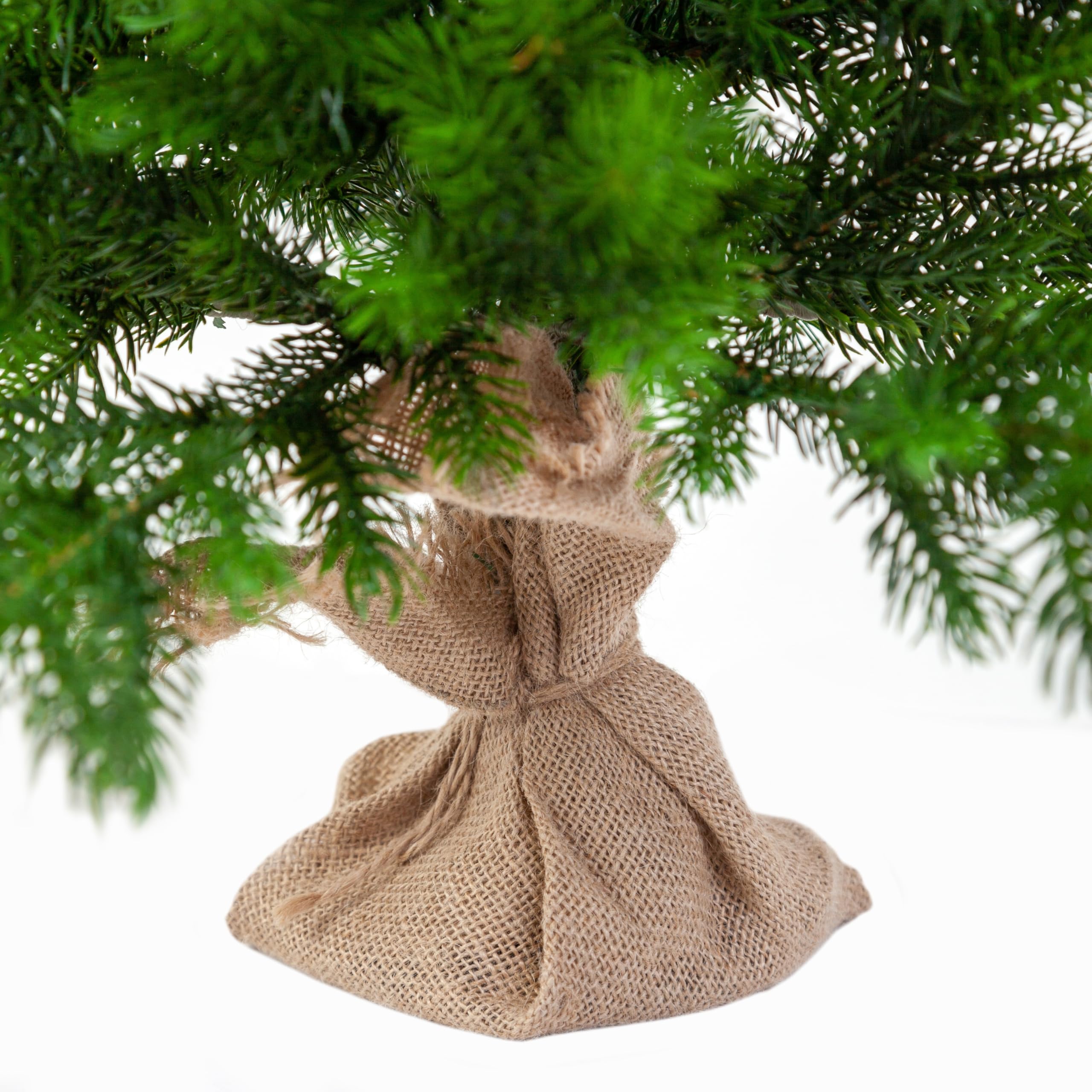 evexmas-altair-weihnachtsbaum-65cm-gr-n-mini-tischbaum-100-pe image 3