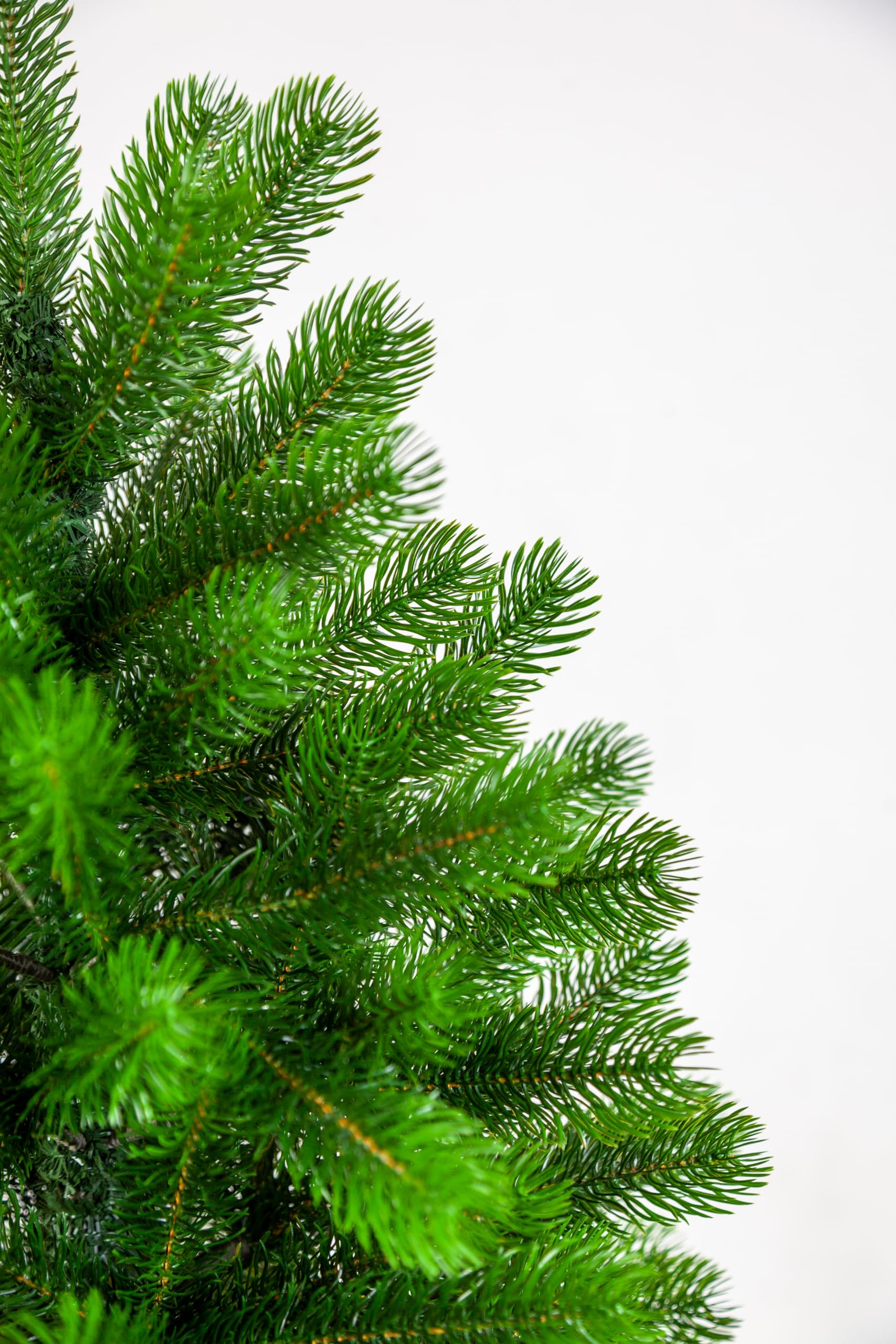evexmas-forest-beauty-klassik-weihnachtsbaum-155cm-gr-n-653-zweige image 2
