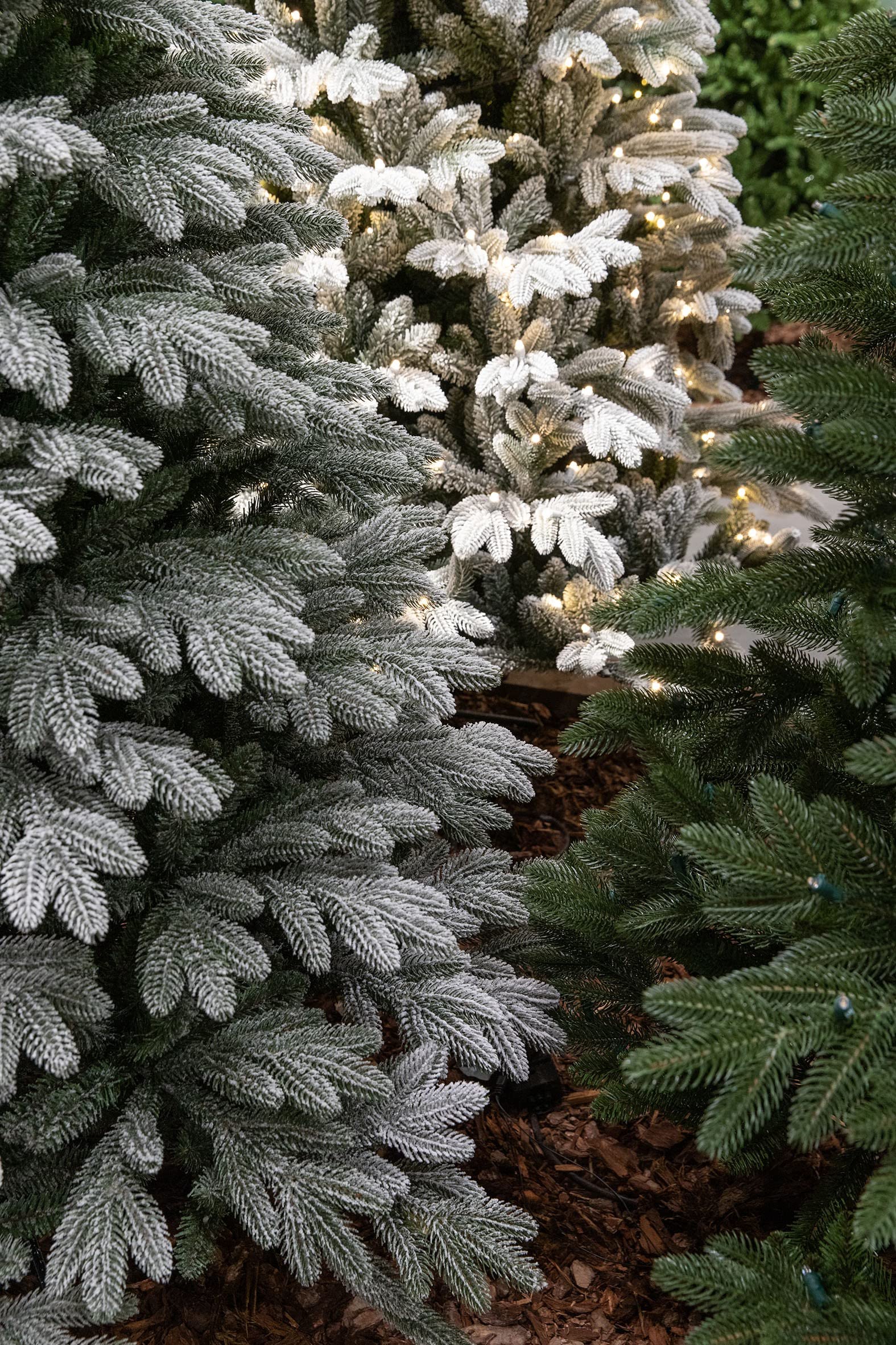 black-box-trees-asbury-weihnachtsbaum-155-cm-gr-n-naturgetreu image 4