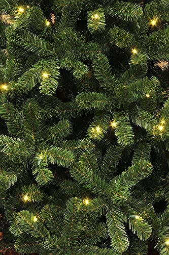 black-box-trees-charlton-weihnachtsbaum-120-cm-mit-led-warmwei image 5