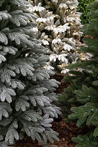black-box-trees-asbury-weihnachtsbaum-155-cm-gr-n-naturgetreu image 8