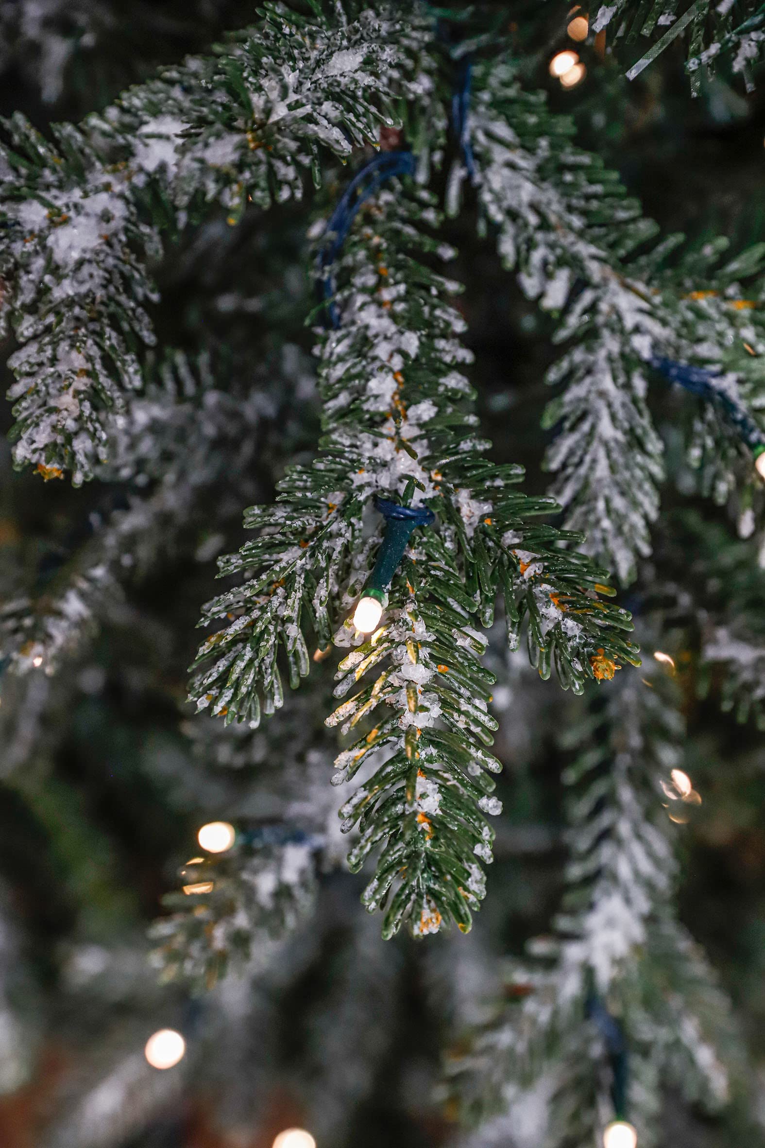 black-box-trees-celtis-weihnachtsbaum-155cm-led-frostoptik image 2