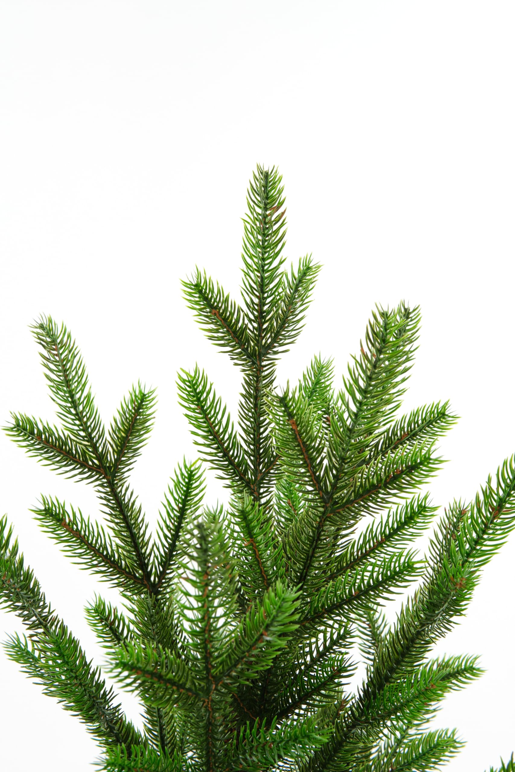 evexmas-onyx-190-cm-k-nstlicher-weihnachtsbaum-breit-voll image 2