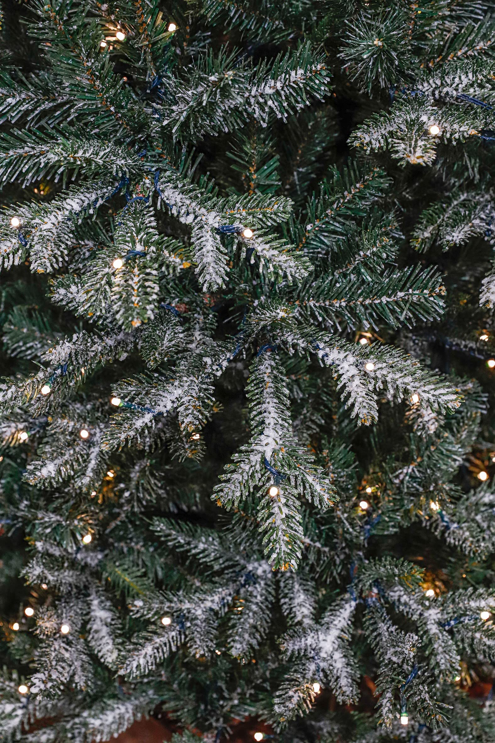 black-box-trees-celtis-weihnachtsbaum-155cm-led-frostoptik image 3