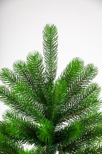 evexmas-forest-beauty-klassik-weihnachtsbaum-185cm-gr-n-953-zweige image 7