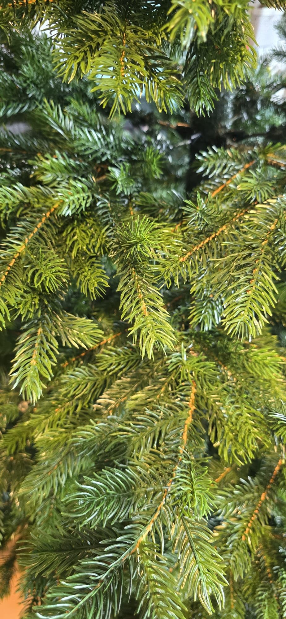 Rieselt etwas
