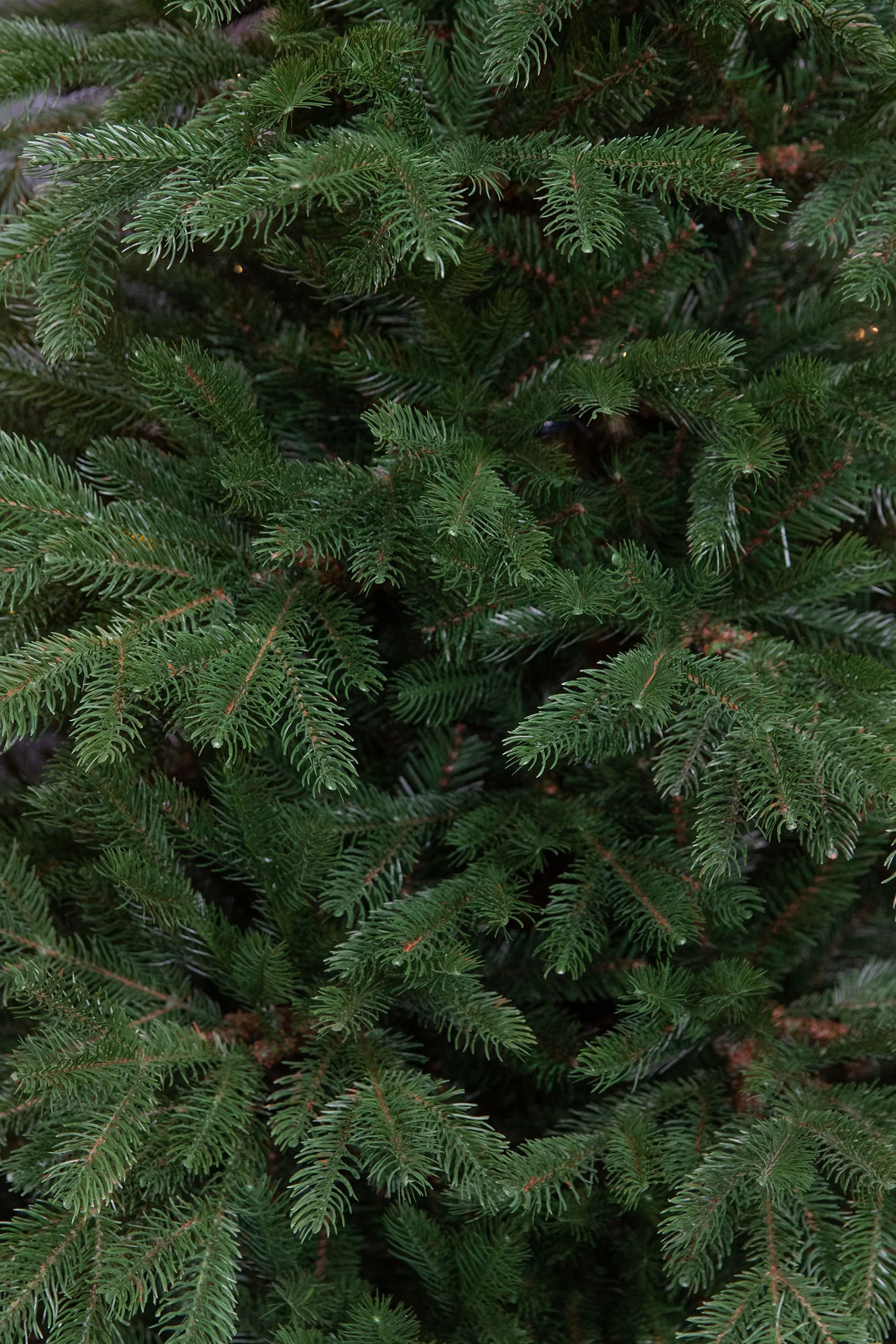 black-box-trees-cottage-weihnachtsbaum-215cm-gr-n image 3