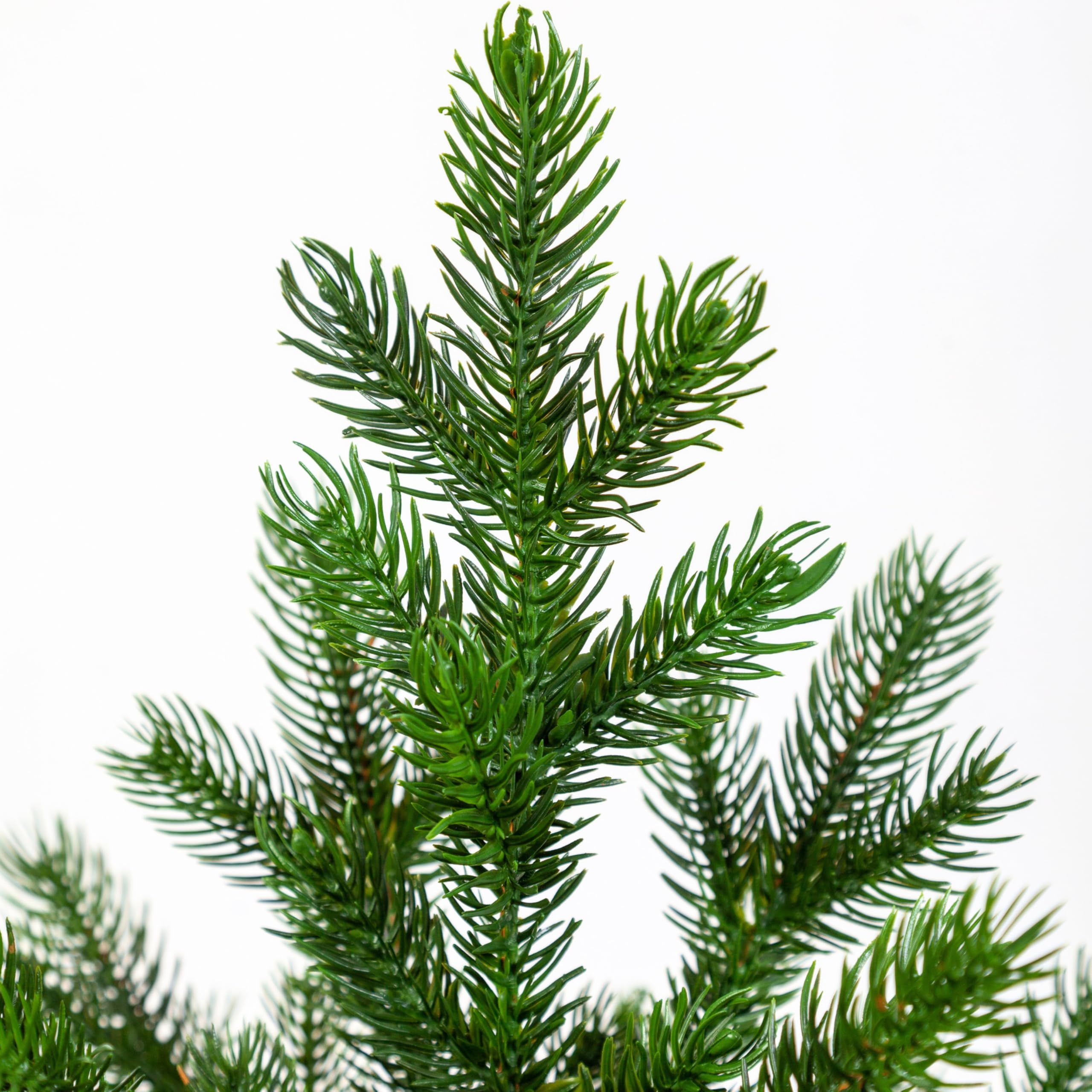 evexmas-altair-weihnachtsbaum-65cm-gr-n-mini-tischbaum-100-pe image 2