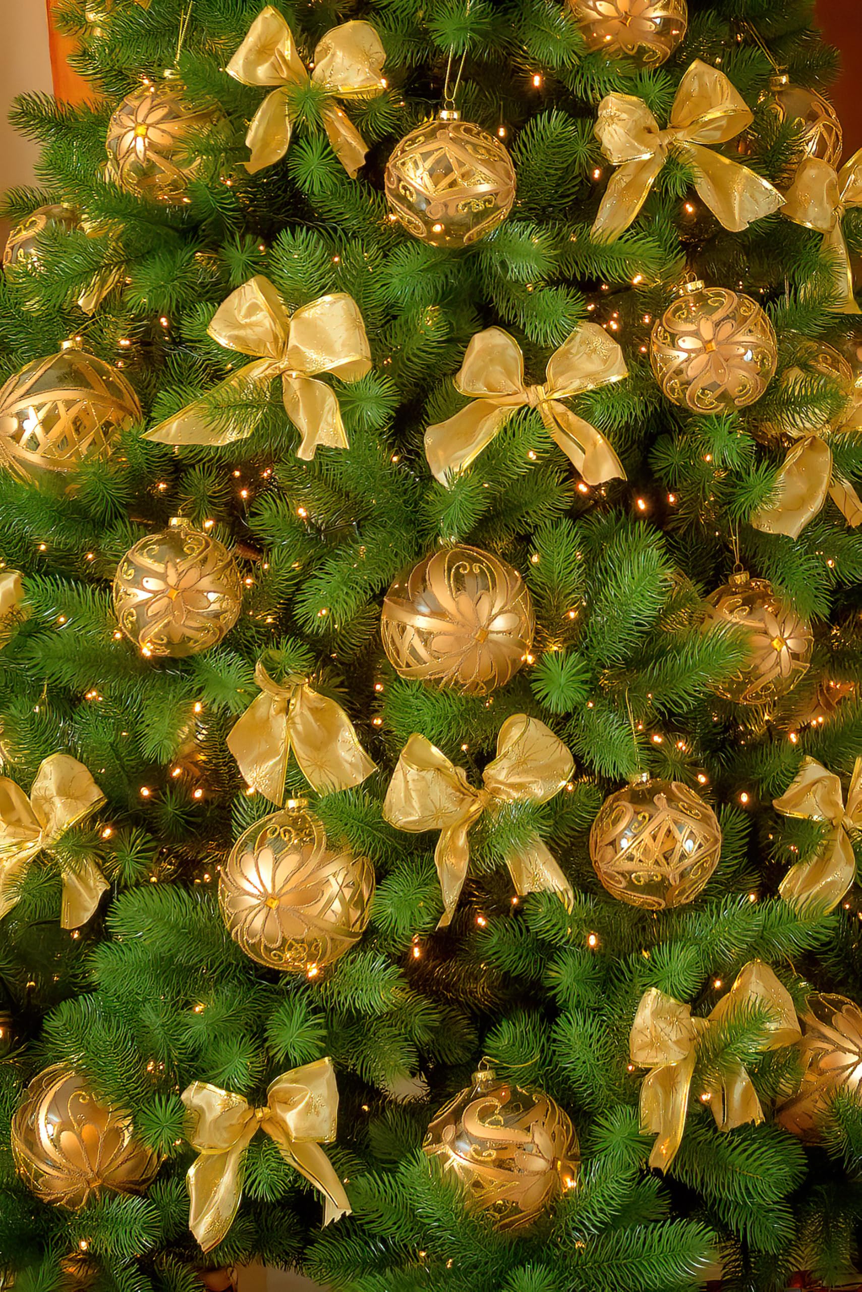evexmas-forest-beauty-klassik-weihnachtsbaum-155cm-gr-n-653-zweige image 4