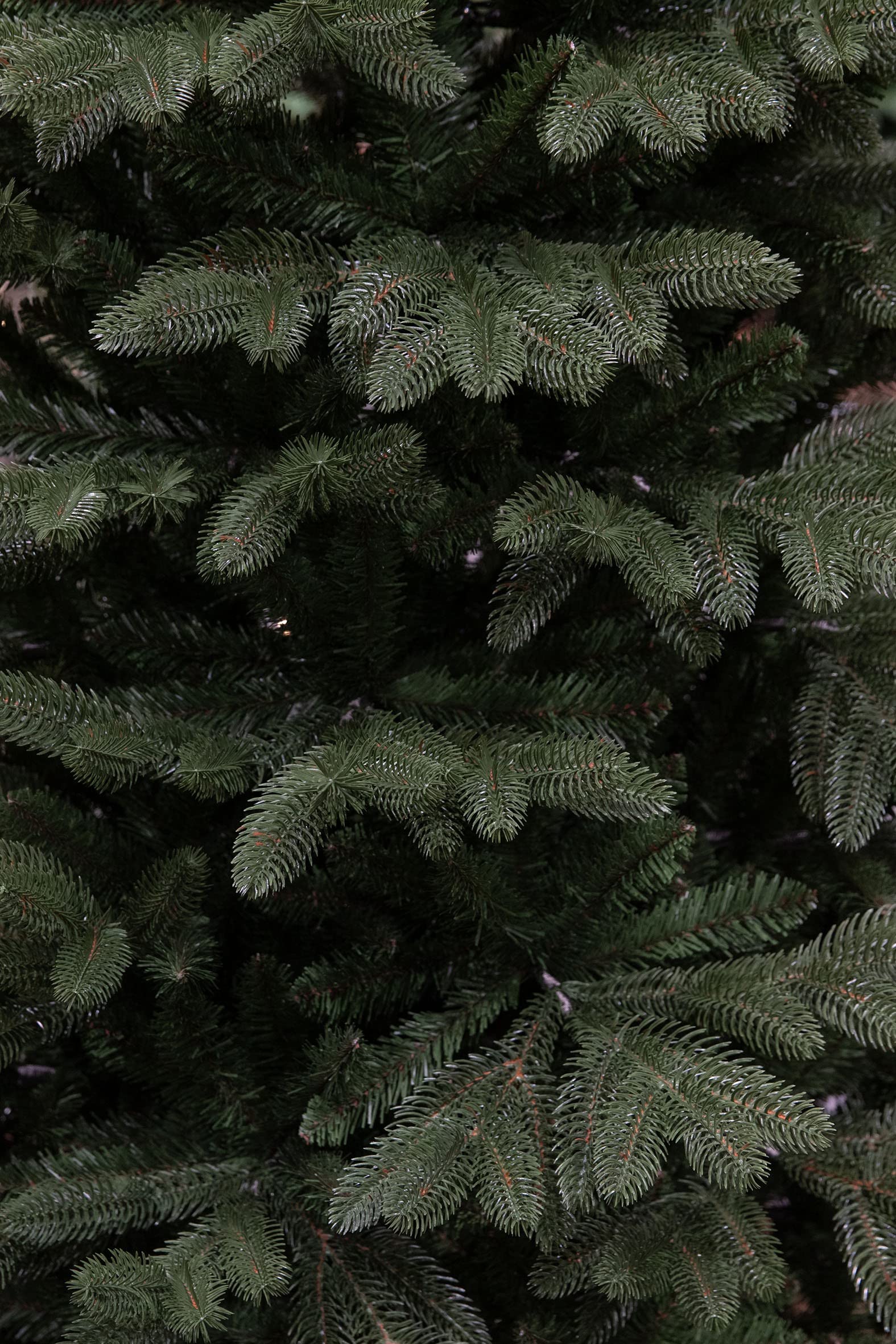 black-box-trees-asbury-weihnachtsbaum-155-cm-gr-n-naturgetreu image 3